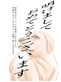 07枚目